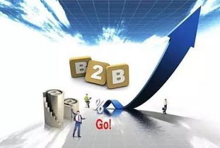 消費互聯(lián)網(wǎng)向產(chǎn)業(yè)互聯(lián)網(wǎng)轉(zhuǎn)型 B2B市場崛起與網(wǎng)絡(luò)技術(shù)服務(wù)的機遇