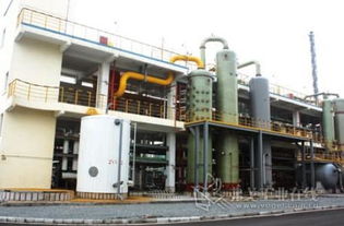 數(shù)字化轉(zhuǎn)型的引擎 寧波石化經(jīng)濟技術(shù)開發(fā)區(qū)網(wǎng)絡(luò)技術(shù)服務(wù)企業(yè)走訪實錄